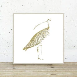 Curlew - Fine Art Print
