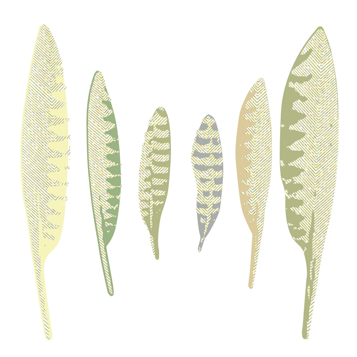 Curlew Feathers - Fine Art Print 3 Curlew Feathers - Fine Art Print - Image 3