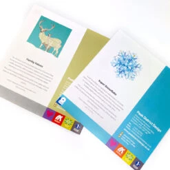 Christmas Cards - Iconic - Super Snowflake & Red Deer - Set Of 8 -Kitchenware Store IMG 4451