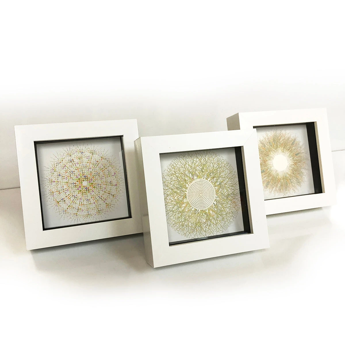 Eyes Of Nature - Mini Print Set Of 3 2 Eyes Of Nature - Mini Print Set Of 3 - Image 2