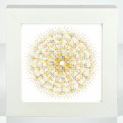 Eyes Of Nature - Mini Print Set Of 3 13 Eyes Of Nature - Mini Print Set Of 3 -Kitchenware Store PD IC DANDELION MP100 FZ