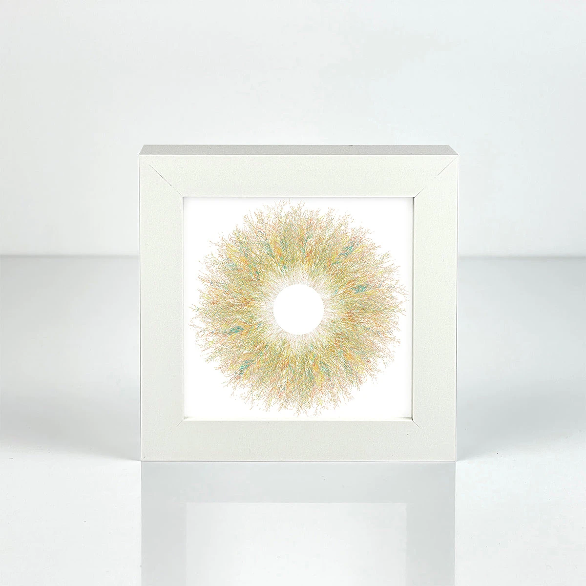 Eyes Of Nature - Mini Print Set Of 3 7 Eyes Of Nature - Mini Print Set Of 3 - Image 7