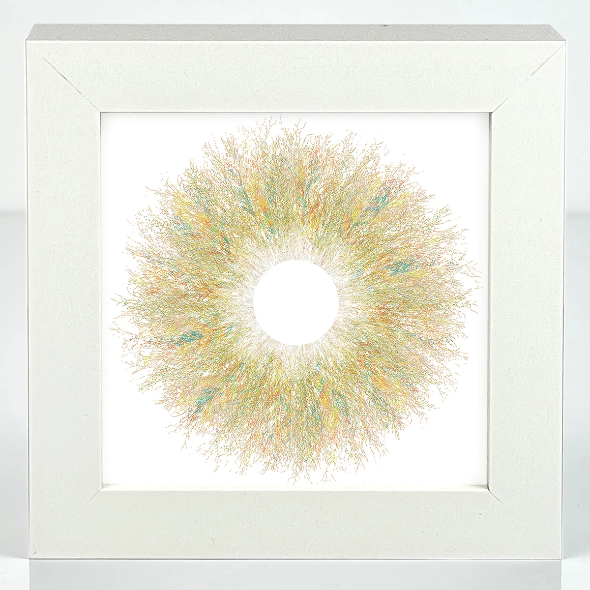 Eyes Of Nature - Mini Print Set Of 3 6 Eyes Of Nature - Mini Print Set Of 3 - Image 6