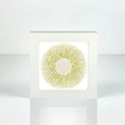 Eyes Of Nature - Mini Print Set Of 3 12 Eyes Of Nature - Mini Print Set Of 3 -Kitchenware Store PD IC HEARTOFTHEPARK MP100 F