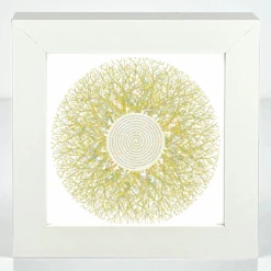 Eyes Of Nature - Mini Print Set Of 3