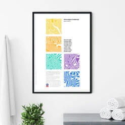 Nine Edges Challenge - Fundraising For Edale Mountain Rescue - Peak District