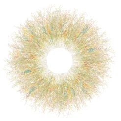 Eyes Of Nature - Mini Print Set Of 3 19 Eyes Of Nature - Mini Print Set Of 3 -Kitchenware Store PDD Forest Eclipse 2019 smll 99218acb 1a6f 40ab 934f 292f5ddc2a06