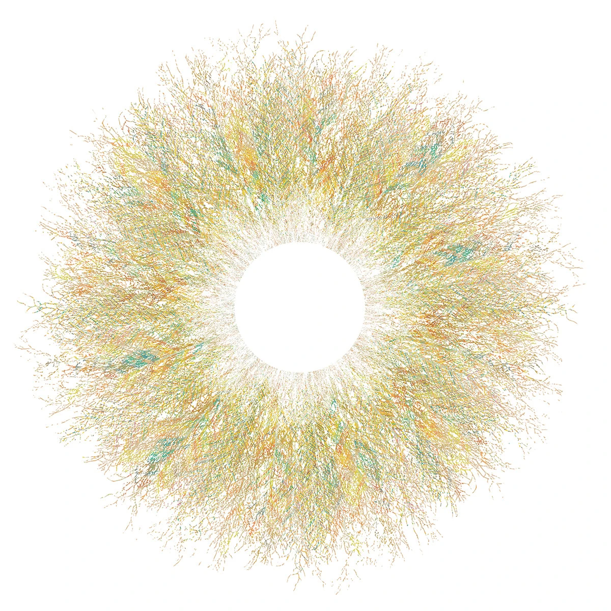 Eyes Of Nature - Mini Print Set Of 3 10 Eyes Of Nature - Mini Print Set Of 3 - Image 10