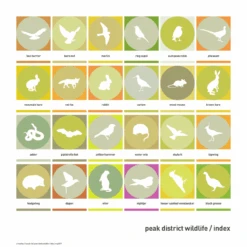 Hare In Cotton Grass - Fine Art Print -Kitchenware Store Peak District Wildlife Index